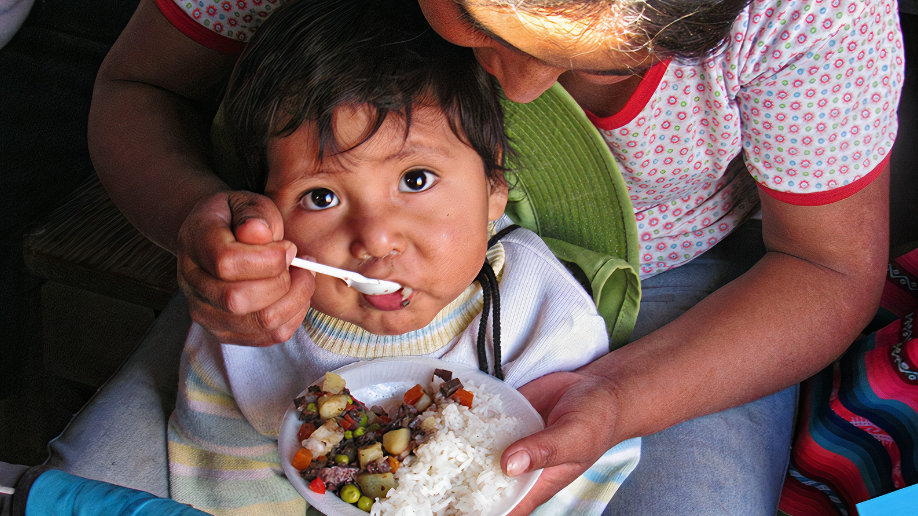 Anemia infantil en Perú pone el foco en la absorción del hierro y la alimentación